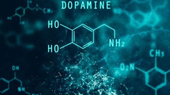 Dopamine, this natural amphetamine